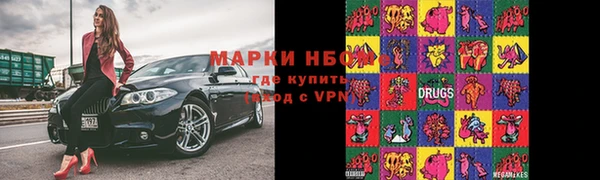 сатива Ступино