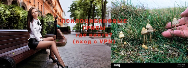 прущая мука Сясьстрой