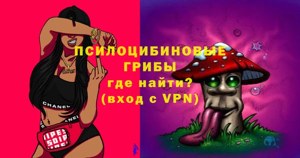 спиды Строитель